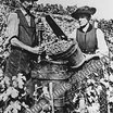 Visiter le groupe Les Vendanges en Valais