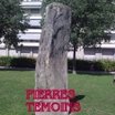 Visiter le groupe Pierres témoins