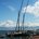 Barques du Léman