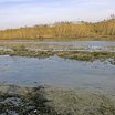 Visiter le groupe La renaturation de la Seymaz