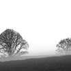 Visiter le groupe Grens