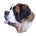 Le Saint-Bernard, chien national suisse