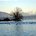 Les rives du Léman