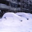 Visiter le groupe Neige à Genève en février 1985