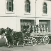 Le cheval au service de l'homme