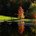 Automne