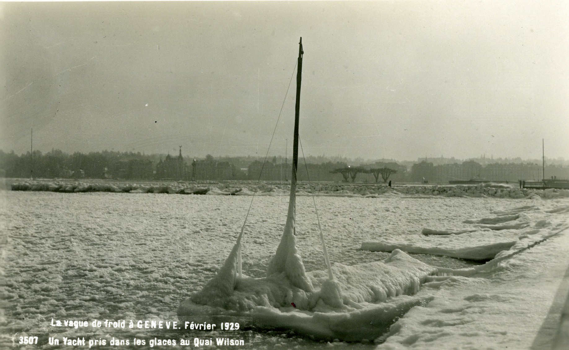vague de froid