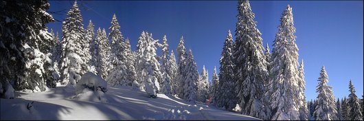 Hiver