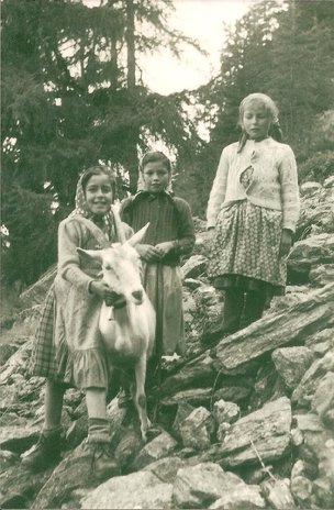 Les chevrières